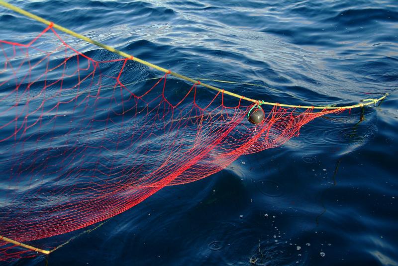 Fileyeur St Jean de Luz ad2.JPG